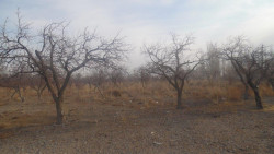 Нежилое помещение