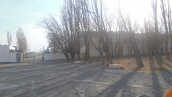 Турак жай эмес