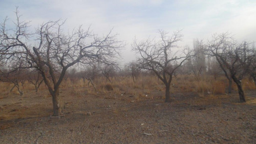 Нежилое помещение